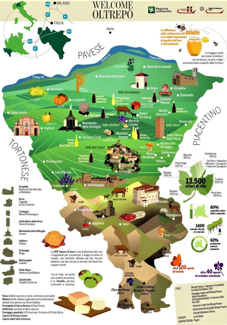 Graphic conceptual map of Oltrepò highlighting local towns and agriculture